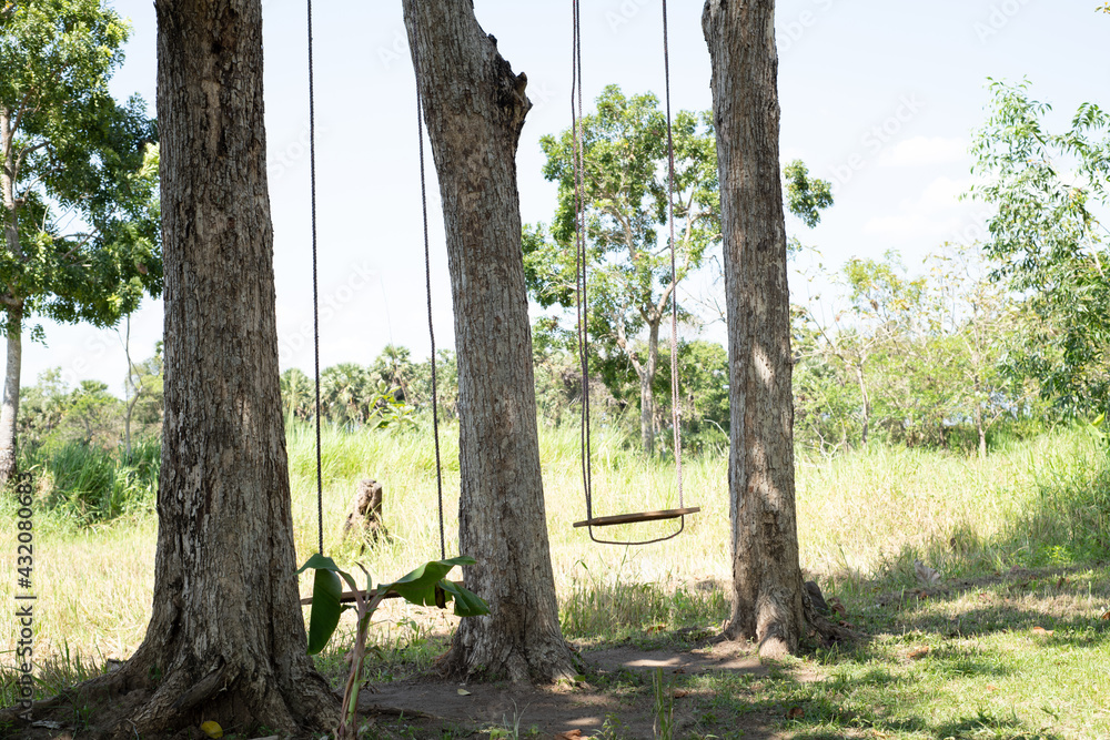 Fototapeta premium Empty swings in outdoor nature, ropes hangs from a tall trees,