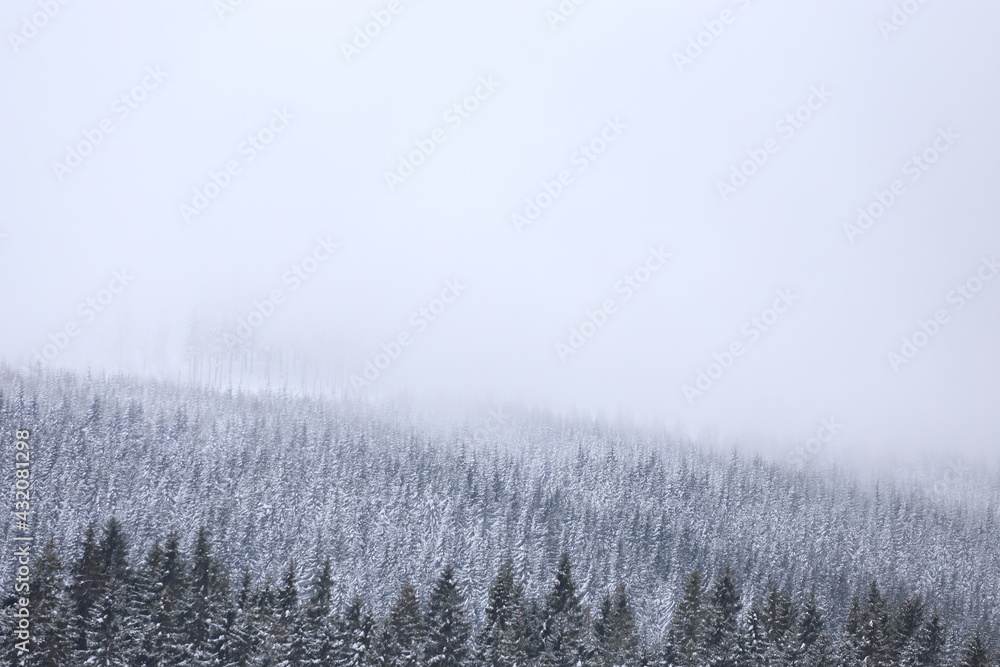 Beautiful winter landscape with snow covered trees in Czech Republic Beautiful winter landscape with snow covered trees in Czech Republic