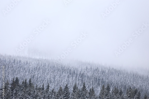 Beautiful winter landscape with snow covered trees in Czech Republic