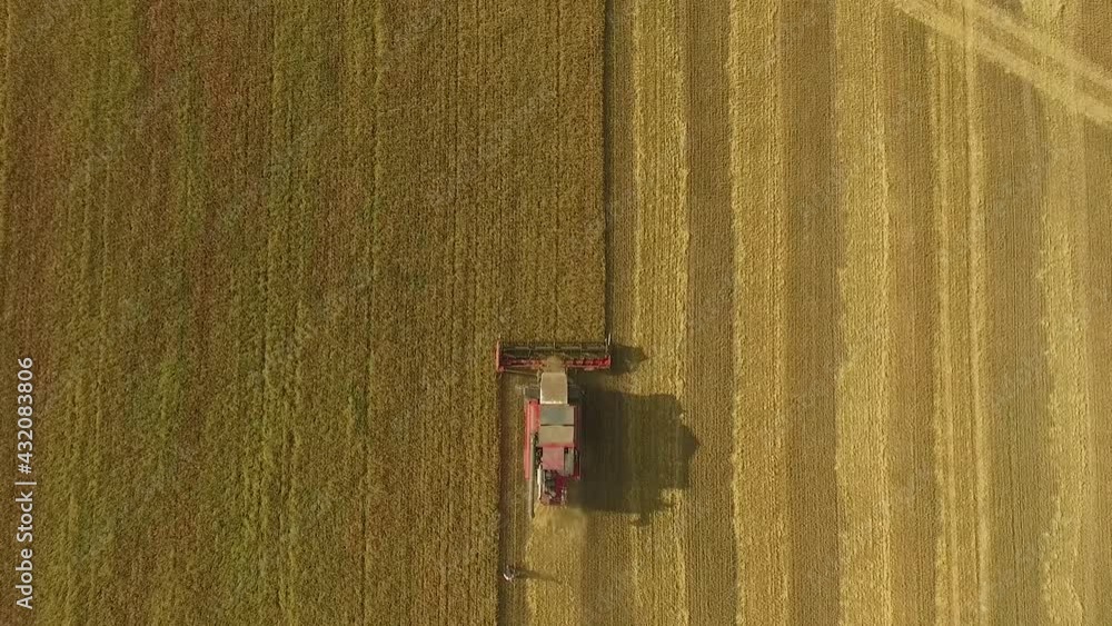 aerial view. the combine goes through the field. Combine harvester. d-log color. aerial video. aerial view. the combine goes through the field. Combine harvester. d-log color. aerial video.