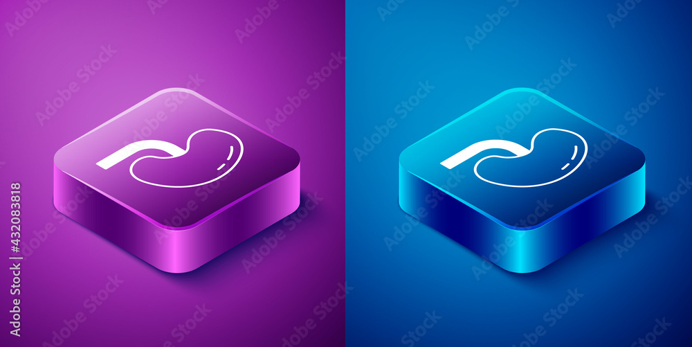 Isometric Human kidney icon isolated on blue and purple background. Square button. Vector Isometric Human kidney icon isolated on blue and purple background. Square button. Vector