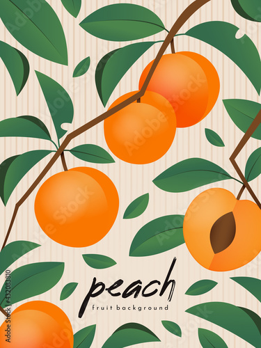 Poster depicting peach branches with fruits and leaves. Card with peaches. Fruit background. 