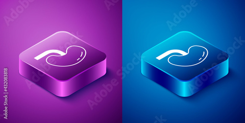 Isometric Human kidney icon isolated on blue and purple background. Square button. Vector