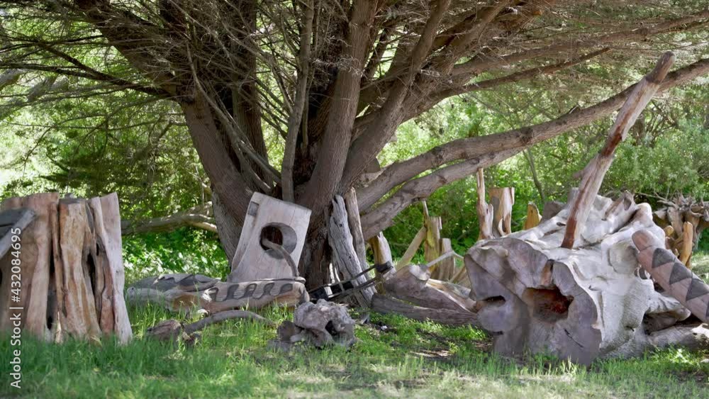 Pieces if cut wood in the forest