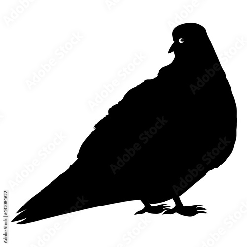 The black silhouette of the city pigeon on a square white background. isolate. Birds.