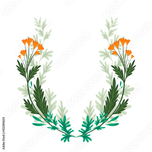 Photos Frame with natural herbs and flowers of the fields