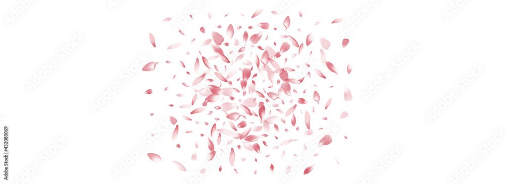 Pastel Cherry Petal Vector Panoramic Background. Pastel Cherry Petal Vector Panoramic Background.