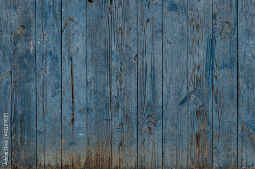 Vertical blue old wood texture with knots for background.