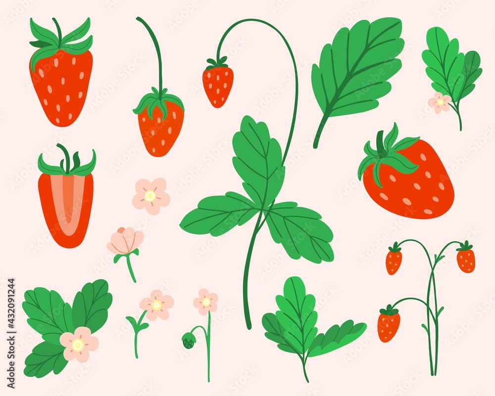 Strawberry set. Hand drawn fresh forest or garden berry collection. Whole juicy berries, bush