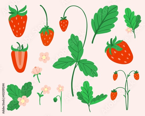 Strawberry set. Hand drawn fresh forest or garden berry collection. Whole juicy berries, bush with green leaves and flowers doodle summer element. Vector cartoon minimalistic isolated illustration