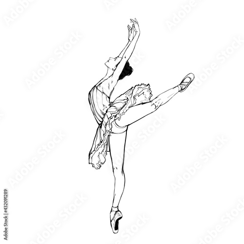 Young ballerina posing, ballet dancer, vector art