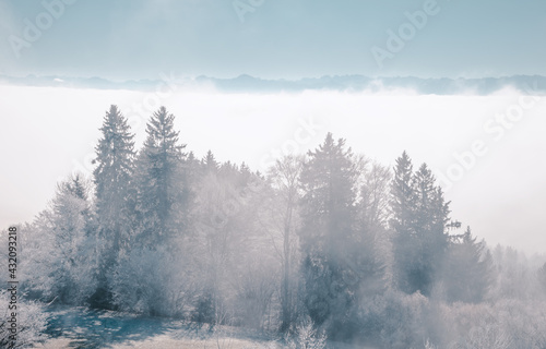 Wald im Gebirge mit Raureif und Hochnebel im Gegenlicht © pengelmann