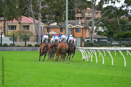 A field of horses and jockeys during a race
