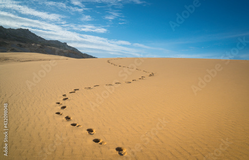 Footprints on desert with blue sky at the horizon. Copy space.