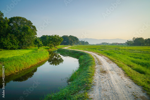 Landscape of green meadows, river and road. Beautiful countryside view.