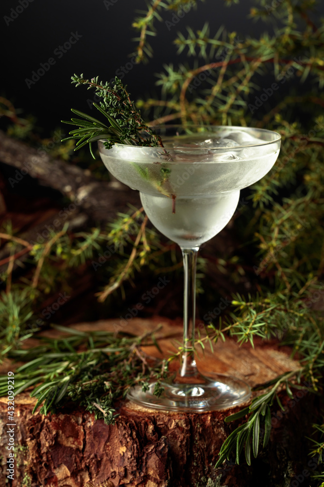Gin and Tonic cocktail with rosemary and thyme. - obrazy, fototapety, plakaty 