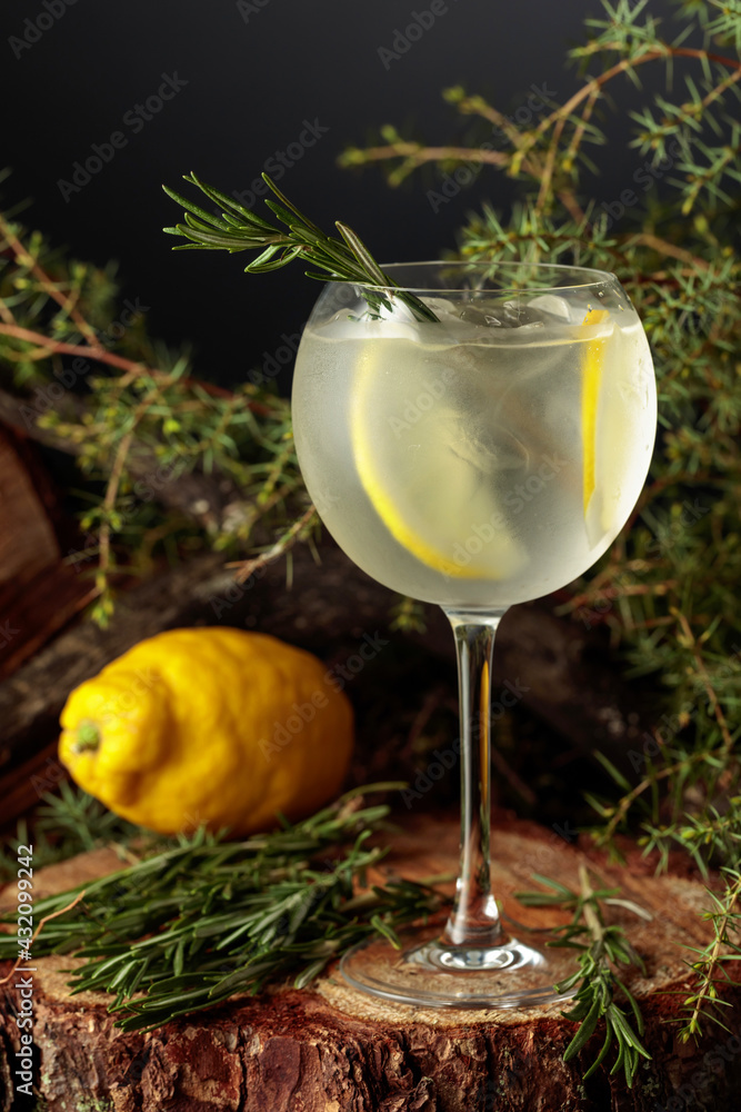 Gin and Tonic cocktail with lemon and rosemary. - obrazy, fototapety, plakaty 
