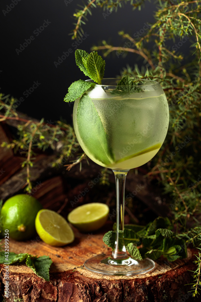 Gin and Tonic cocktail with lime and mint. - obrazy, fototapety, plakaty 