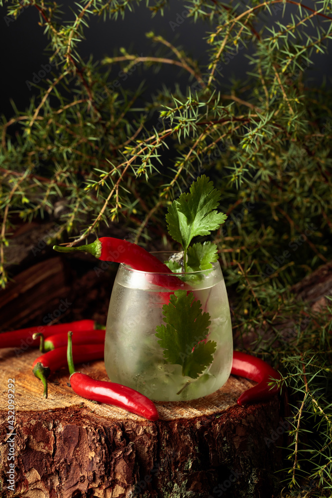 Gin and Tonic cocktail with red pepper and coriander. - obrazy, fototapety, plakaty 