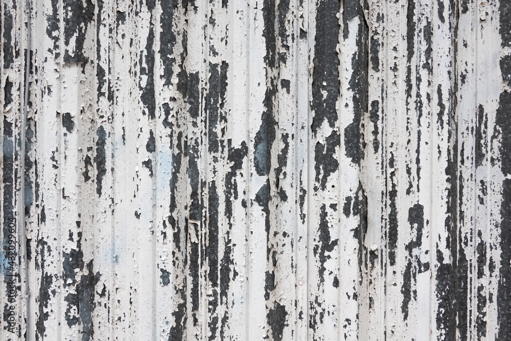 A fragment of a steel fence with a flying layer of white paint.Visible gray metal surface.Background. Texture. A fragment of a steel fence with a flying layer of white paint.Visible gray metal surface.Background. Texture.