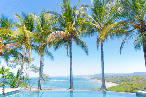 Fototapeta Naklejka Na Ścianę i Meble -  Wonderful view across the pool and palm trees to the pacific coast of Costa Rica