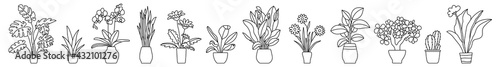 Indoor plant in a pot. Black and white sketch collecton. Vector doodle line illustration set. Monstera, philodendron, scarlet, orchid and snake plant. Gerbera, peace lily, chamomile, rubber and cactus