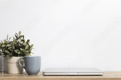 Computer device with coffee cup with plant on table
