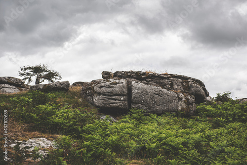 Dartmoor National Park, Landscapes