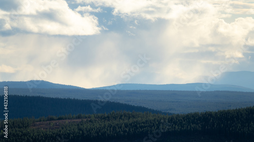 Mist and rain over forest a...