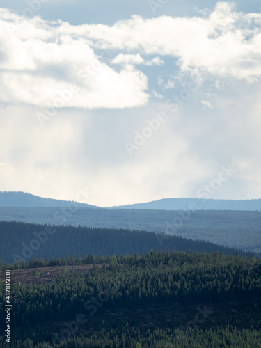 Mist and rain over forest a...