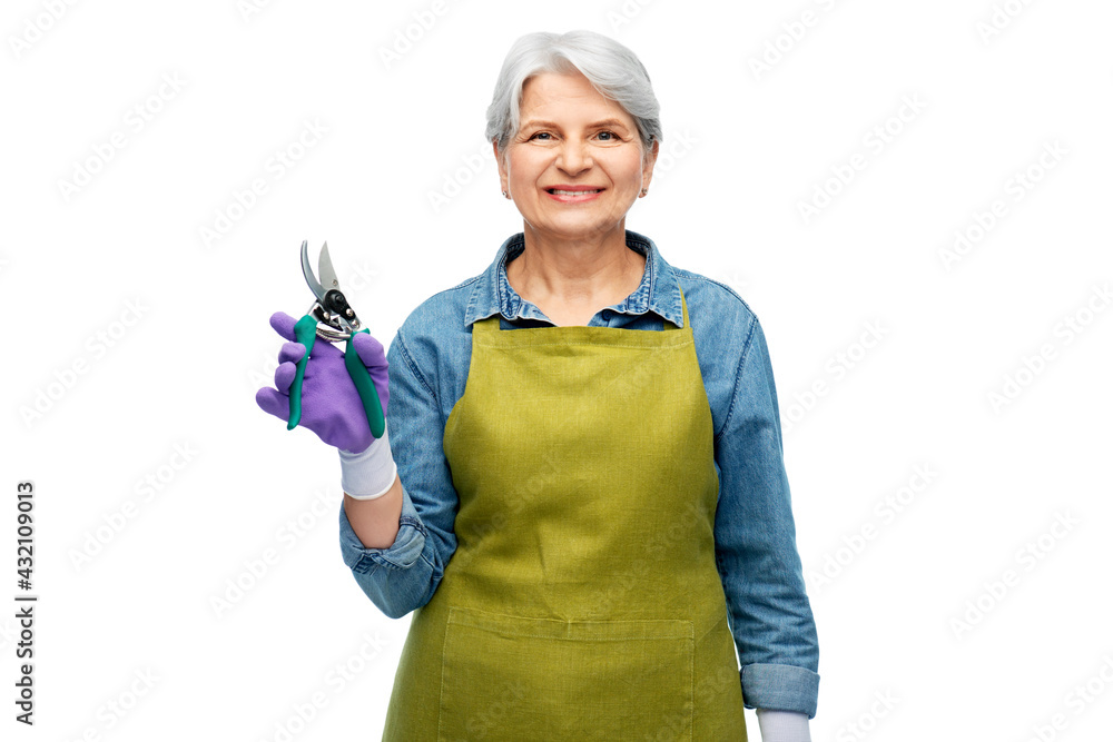 gardening, farming and old people concept - portrait of smiling senior woman in green apron and gloves holding pruner over white background gardening, farming and old people concept - portrait of smiling senior woman in green apron and gloves holding pruner over white background