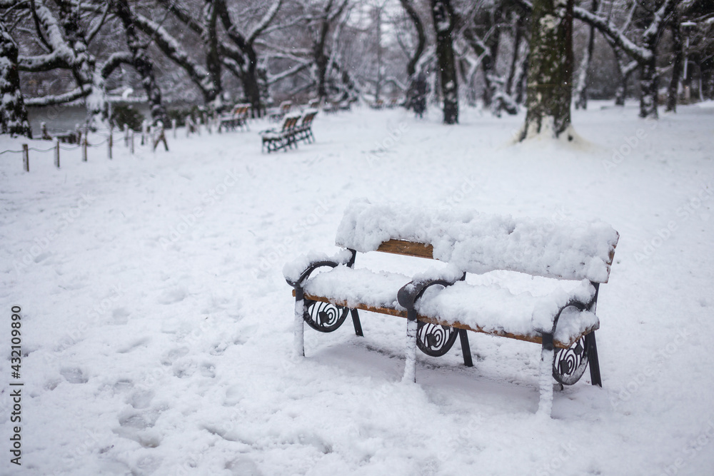 custom made wallpaper toronto digital雪の日のベンチ