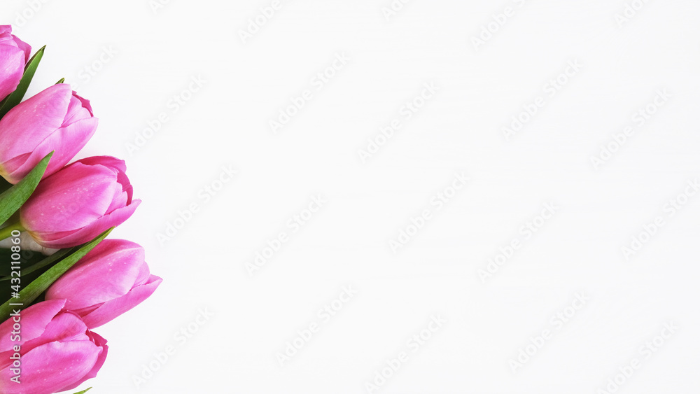 Tulips on white background. Baner.Greeting card. 8 March Happy Women's Day. Mother's day. Flat lay. Place for text. Spring. Tulips on white background. Baner.Greeting card. 8 March Happy Women's Day. Mother's day. Flat lay. Place for text. Spring.