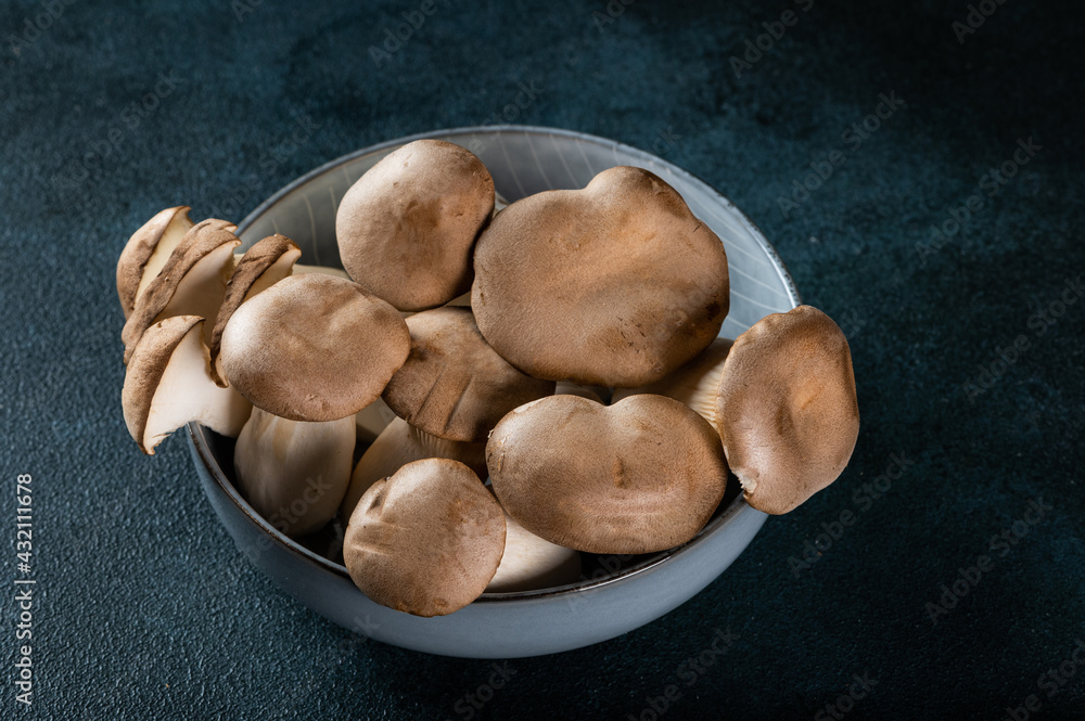 Eringi mushrooms on plate on a dark background. Pleurotus eringi. Vegan food concept. King Oyster Mushroom in a bowl. Eringi mushrooms on plate on a dark background. Pleurotus eringi. Vegan food concept. King Oyster Mushroom in a bowl.
