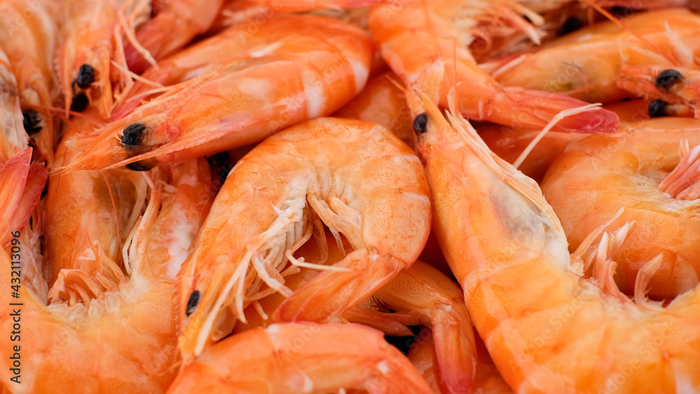 fresh shrimps top view close up fresh shrimps top view close up