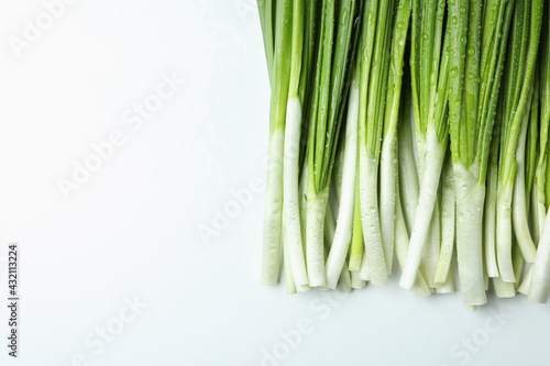 Fresh green onion with water drops  space for text