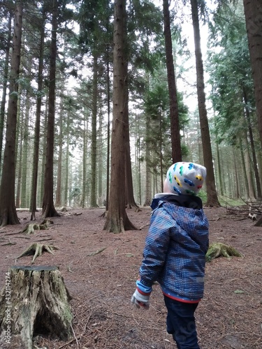 Junge allein im Wald