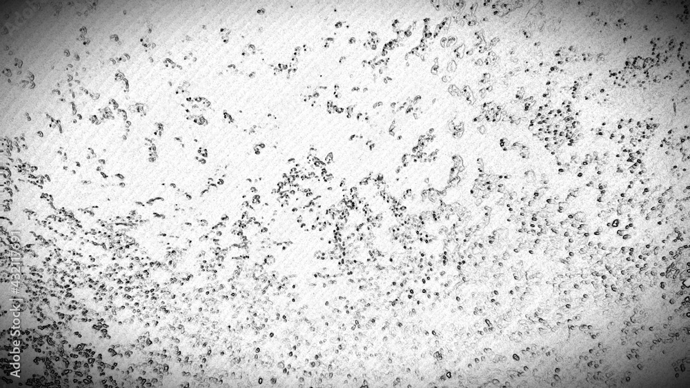 Obraz premium Abstraction from small black dots. An abstract black and white background will be created on a flat surface with motes of gray-black dots.