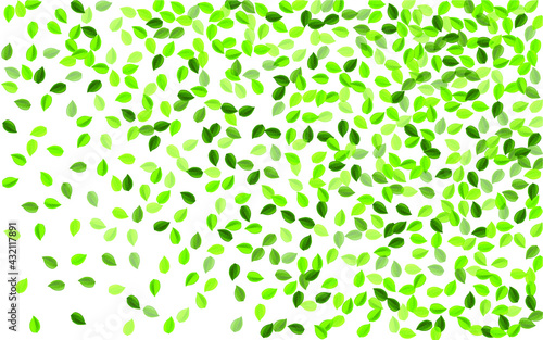 Mint Leaves Tree Vector Border. Swirl Leaf Pattern. Green Greens Fresh Backdrop. Foliage Herbal Design.