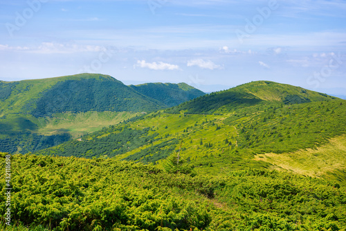 mountain landscape in summer. beautiful scenery on a sunny day. view in to the distant ridge under the blue sky with dynamic cloud formation