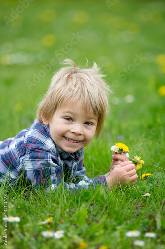 Beautiful toddler blond child, cute boy, lying in the grass in daisy and dandelions filed
