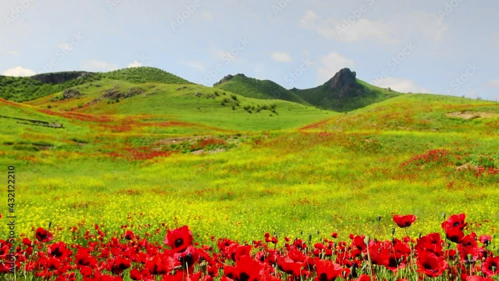 Static spring green nature meadow field with hilly background and poppy flowers in breeze foreground. Copypaste sunny springtime banner space. Static spring green nature meadow field with hilly background and poppy flowers in breeze foreground. Copypaste sunny springtime banner space.