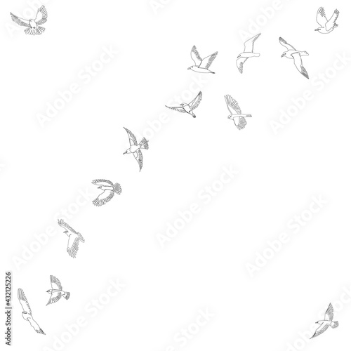 sketch of a flying flock of birds