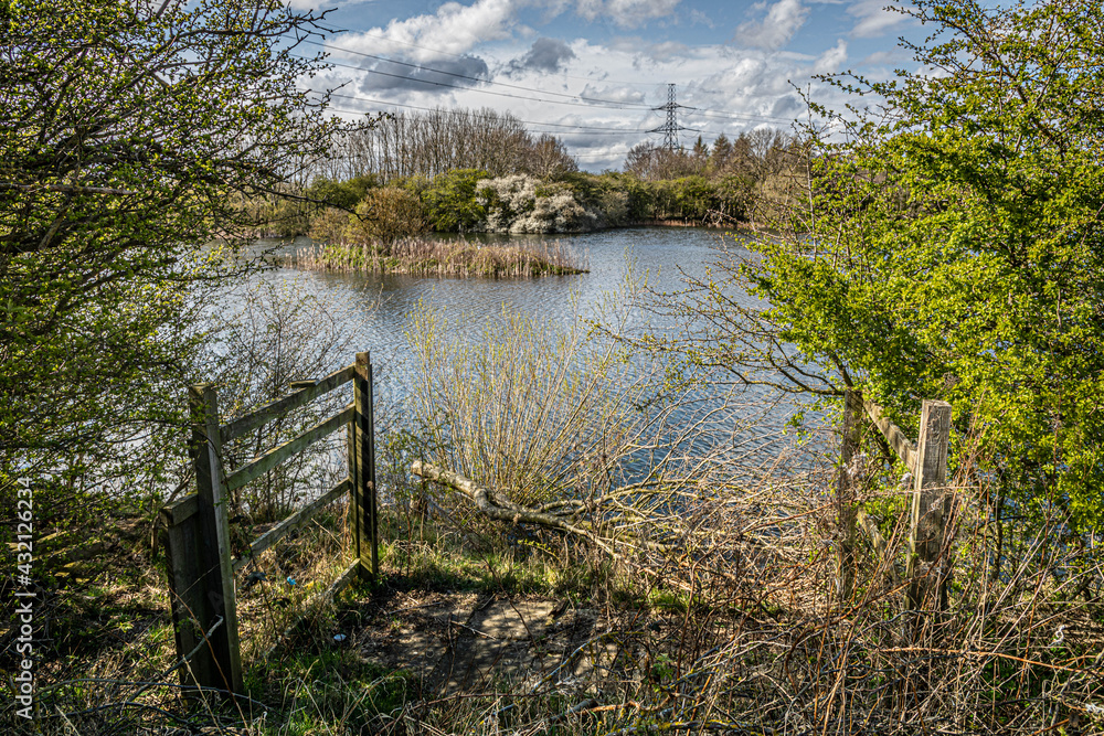 Cowpen Bewley, Nature Reserve