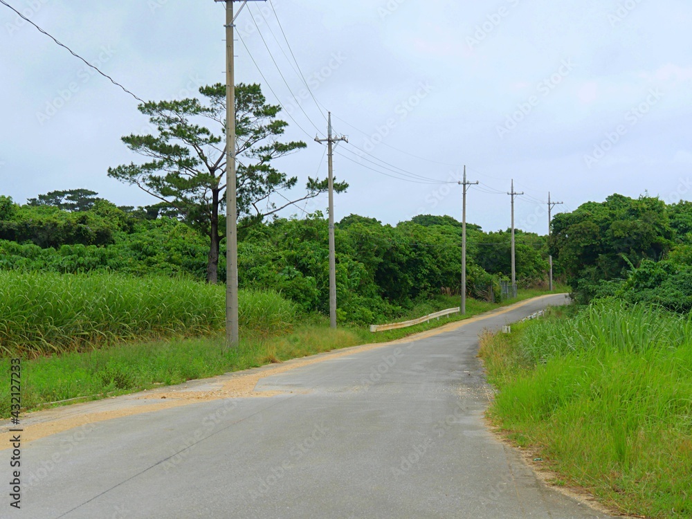 沖縄の田舎道1
