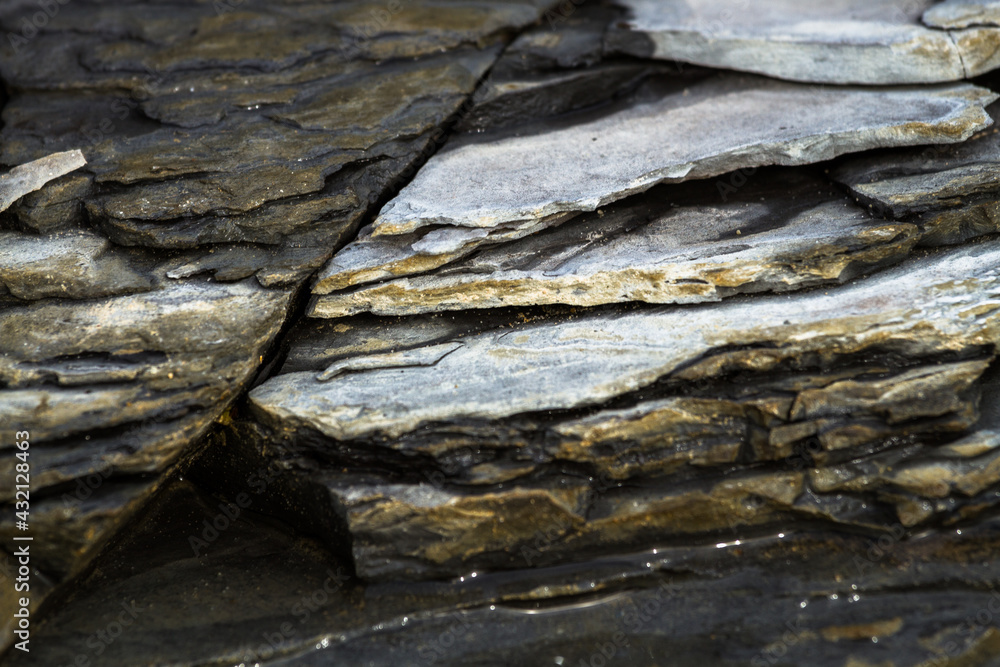 rocky coast of the Pakri Peninsula rocky coast of the Pakri Peninsula