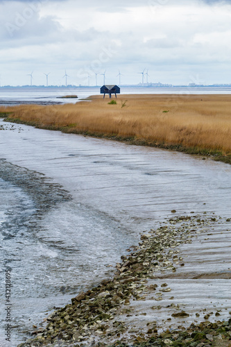 Bird watching Nieuwe Statenzijl in The Netherlands photo