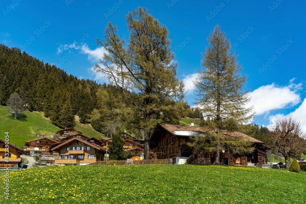 Alte Häuser in Ausserschwand, Adelboden. Ferienhäuser und alte Bauernhäuser in den Schweizer Bergen. travel in the Swiss mountains, with flying jackdaws, mountain jackdaws