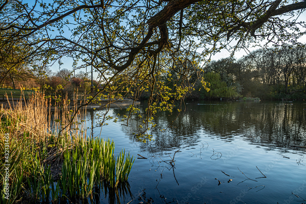 Rossmere Park, Hartlepool