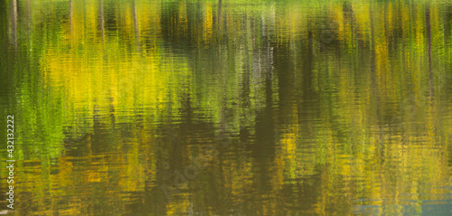 Abstract background of spring trees reflection on water pond surface in park .